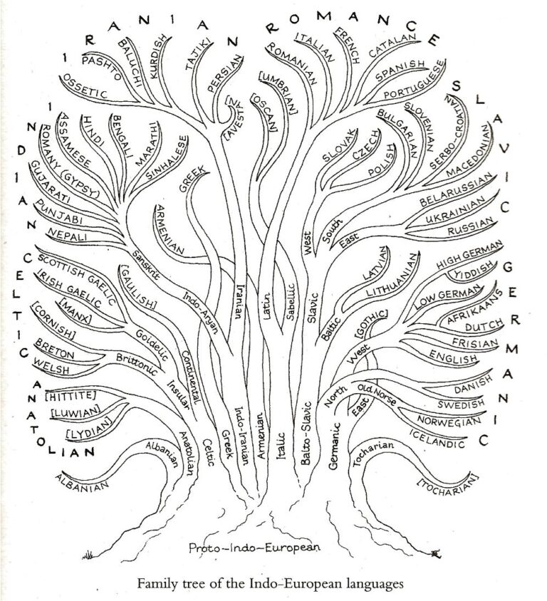 english belongs to the indo european family of languages